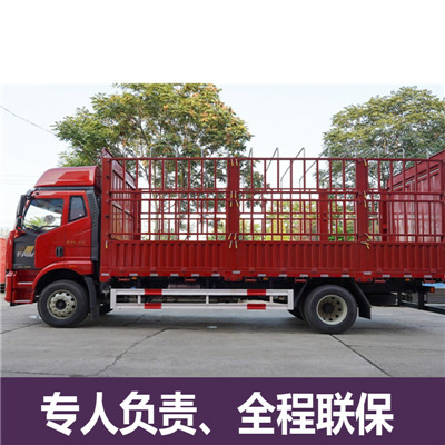 東莞到漢中略陽縣物流專線-東莞到漢中略陽縣貨運公司
